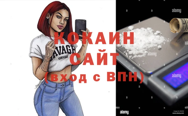 индика Белоозёрский