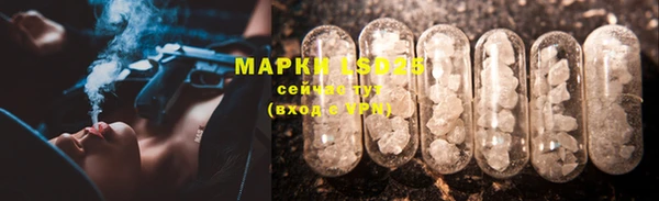прущие крисы Беломорск