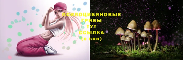 прущие крисы Беломорск
