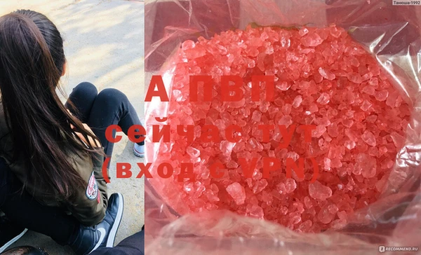 индика Белоозёрский