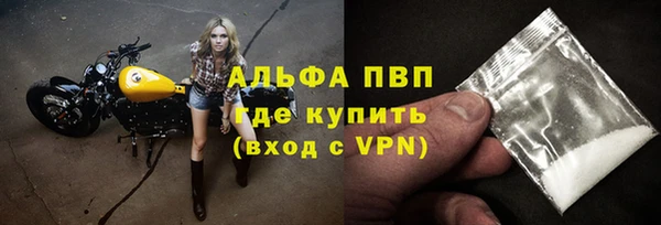 индика Белоозёрский