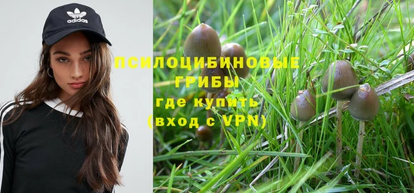индика Белоозёрский