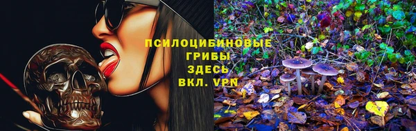 индика Белоозёрский
