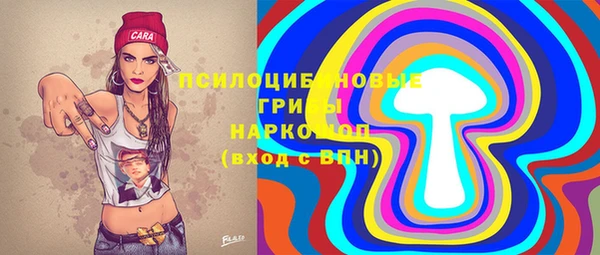 индика Белоозёрский