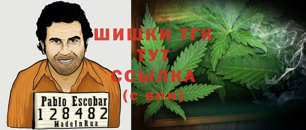 индика Белоозёрский
