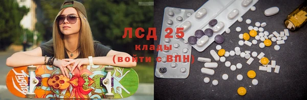 индика Белоозёрский