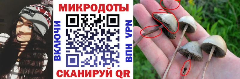 Псилоцибиновые грибы MAGIC MUSHROOMS  где найти наркотики  Озёрск 